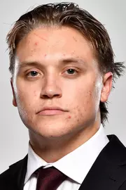 Olvestad