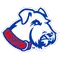 St. Francis College Brooklyn Logo