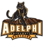 Adelphi University Logo
