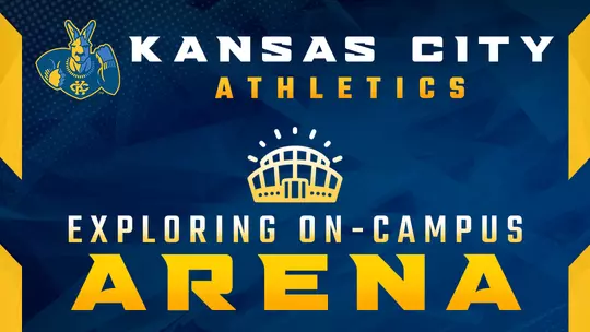 Arena RFP Graphic