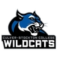 Culver-Stockton College (Mo.) Logo