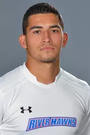 Vinicius Linces