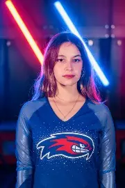 Ice Hawks