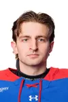 Niko Goich