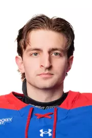 Niko Goich