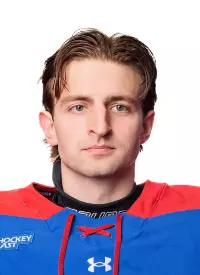 Niko Goich