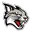 Davidson Logo
