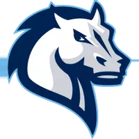 Mercy College