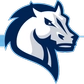 Mercy University Logo