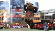 Maryland Launches "Paint the Town Terps!"