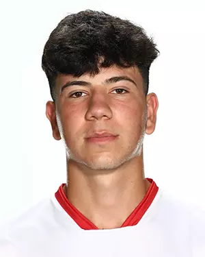 Albi Ndrenika