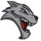 Mt. Washington Lacrosse Club