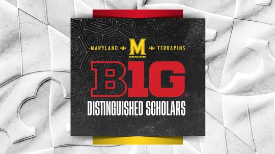 Big Ten Distinguished Scholars