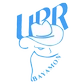 University of Puerto Rico-Bayamon Logo