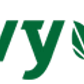 Ivy League logo