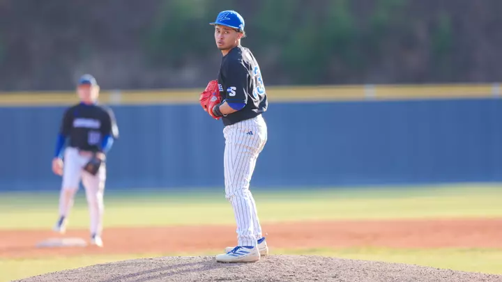 Daylinh_Nguyen_Brown_Rider