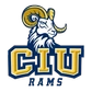 Columbia International University Logo