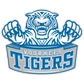 Voorhees University (S.C.) Logo
