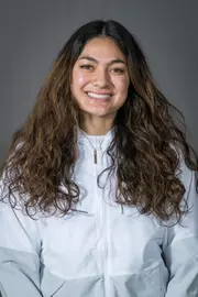 Mele Finau