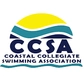 CCSA