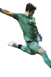 Alejandro Robles