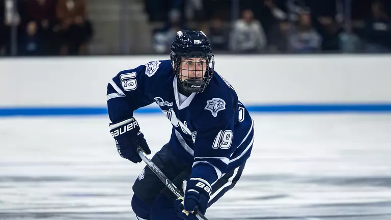 Wildcats Start New York Trip With Friday Game at RPI (Nov. 14, 7 PM