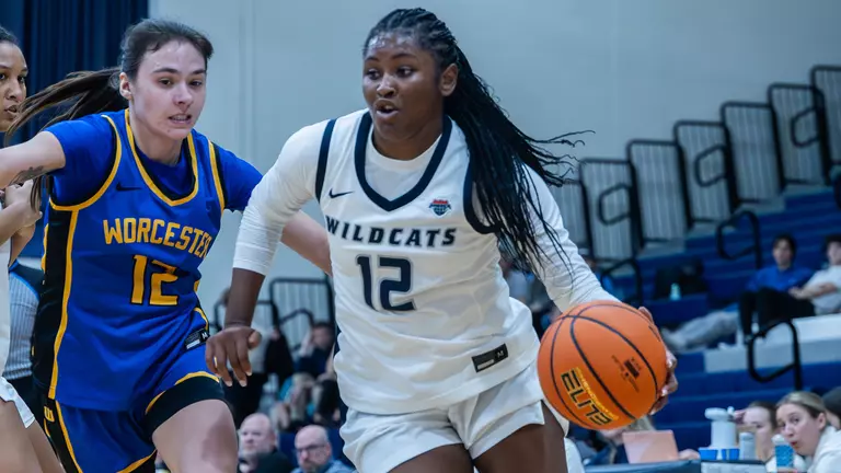 'Cats Travel to Play #22 Cards (Dec. 7)