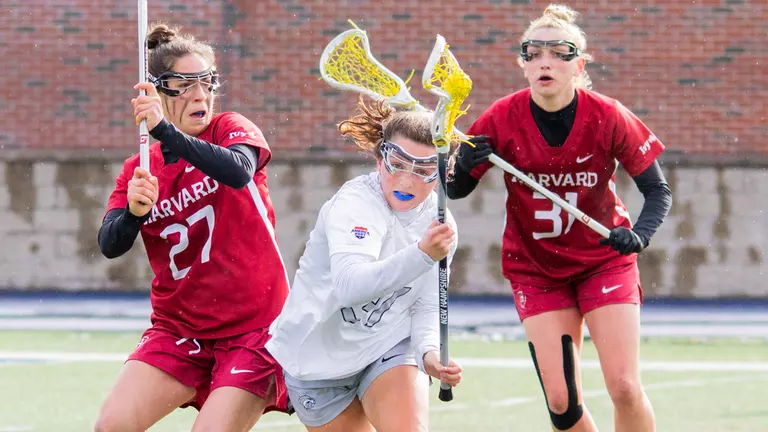 Lacrosse Falls to Harvard