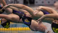 Panther swim and dive drops road dual to Cyclones