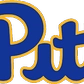 Pitt Panthers