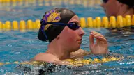 Panther swimming and diving to face Iowa State, St. Thomas for senior day