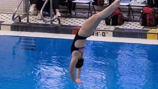 Hogan punches NCAA Zones ticket at UNO Diving Invite Image