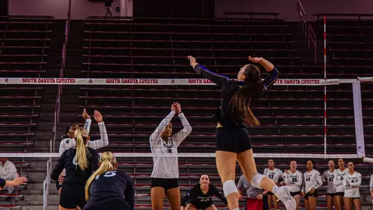 Panther volleyball powers past Air Force in four sets Image