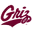 Montana Logo
