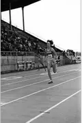 Lexie Miller