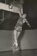 Dick Wilkins
