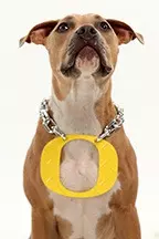Rebel