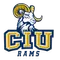 Columbia International University Logo