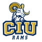 Columbia International University Logo