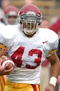 Troy Polamalu