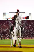 USC's Traveler