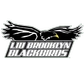 LIU Brooklyn Logo