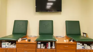 USF to Offer Sports Medicine Camp on July 13