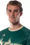 Henrique Gallina