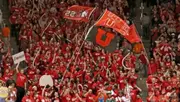 MUSS - Otro Announcement
