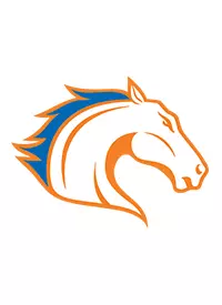 Blaze Head Generic Headshot