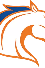 Blaze Logo