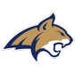 Montana State UniversityLogo