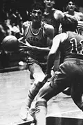Tom Losh