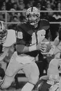 Tony Merendino